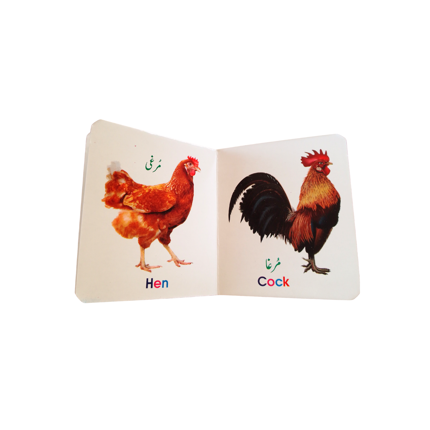 My Cute Board Book Set – 12 Educational Books for Kids