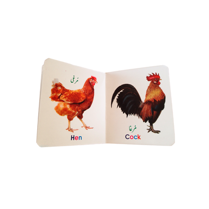 My Cute Board Book Set – 12 Educational Books for Kids